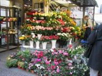 бизнес по продаже цветов